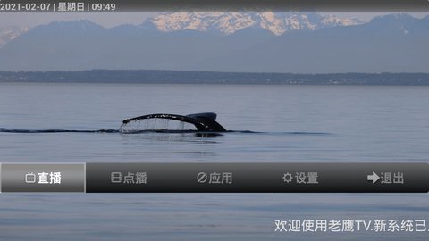 老鹰tv直播破解版图2