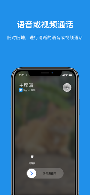 signal清爽版图3