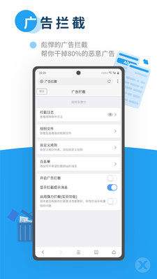 X浏览器谷歌市场版图1