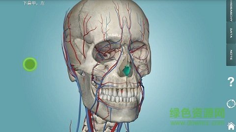 人体解剖学图集免广告版图1