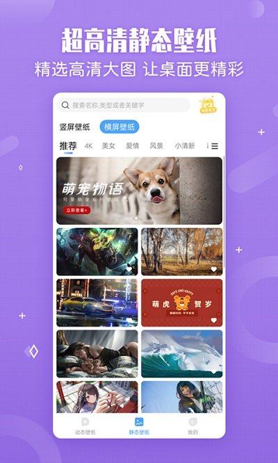 小鸟壁纸精简版图3