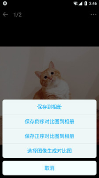 猫咪记账本图3