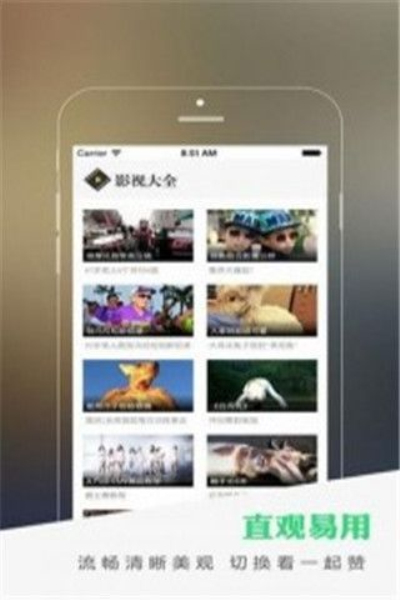 兴兴影视精简版图2