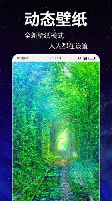 动态壁纸4k破解版图3