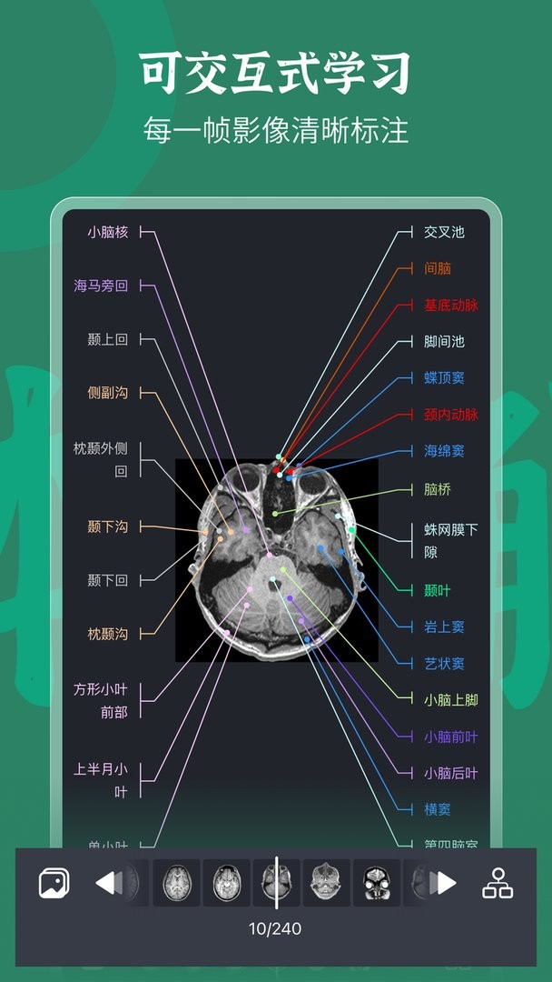 万康人体解剖新版图2