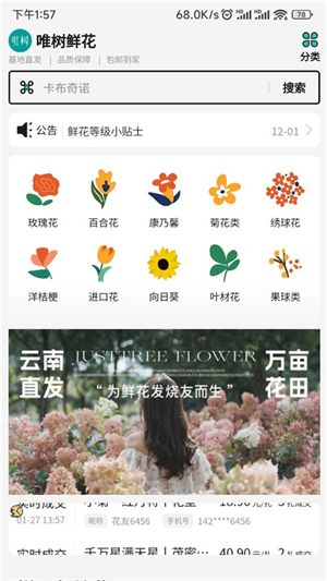 唯树鲜花图2