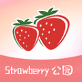 草莓公园免费版