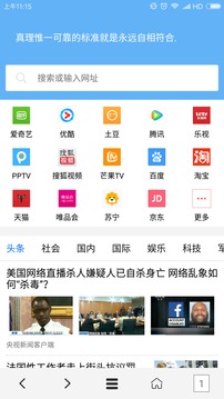 VIP浏览器简版图3