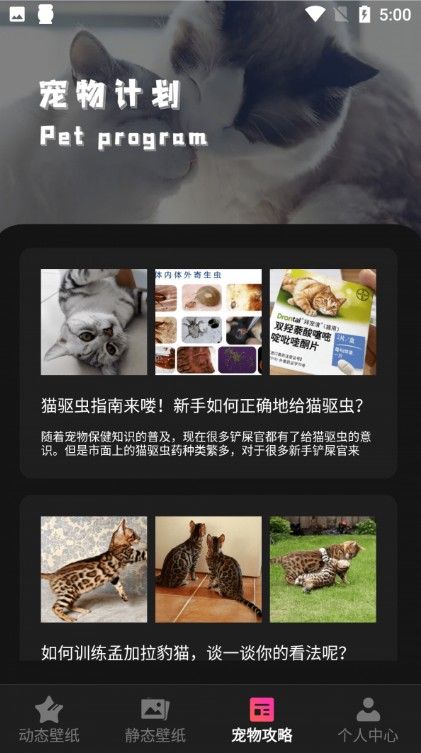 猫咪壁纸安卓版图3