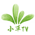 小草TV免费版