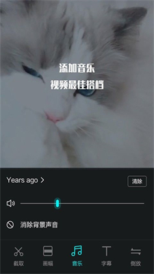 左手视频高清官方版图3