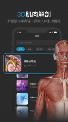 3D肌肉解剖经典版图1